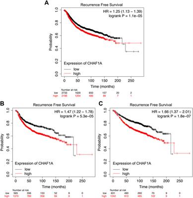 Overexpression of CHAF1A is associated with poor prognosis, tumor immunosuppressive microenvironment and treatment resistance